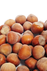 hazelnuts in shell