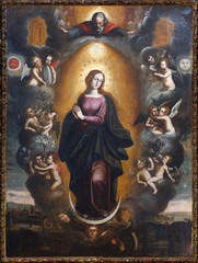 Fototapeta premium Our Lady Immaculate 1