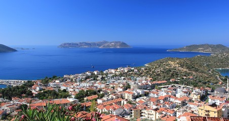 The blue view
