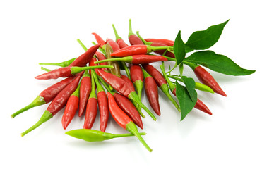 Red  pepper on a white background