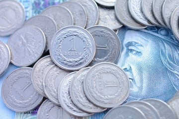 Rozsypane złotóki na banknocie © nestonik