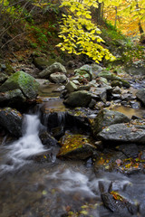 Naklejka na ściany i meble stream in autumn