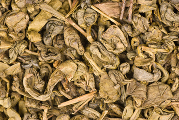 Green tea leaves