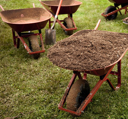 Wheelbarrows at a Landscape Site
