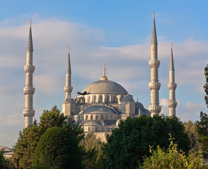Fototapeta na wymiar Blue mosque, Instanbul