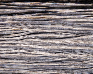 Fototapeta premium Drift Wood Texture