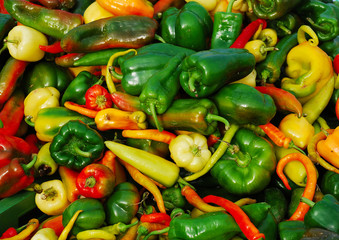 Paprika q.