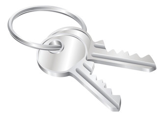 Two keys on a keyring illustration