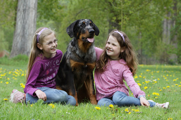 Berger de beauce et ses deux jeunes maitresses