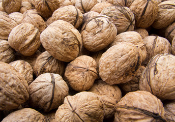 Walnuss