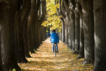 Cycling in the autumn. - obrazy, fototapety, plakaty
