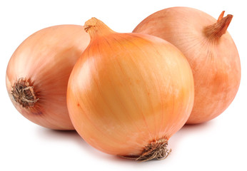 Onion on a white background