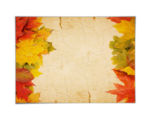 Autumn frame from leaves