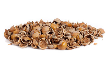 nut shells