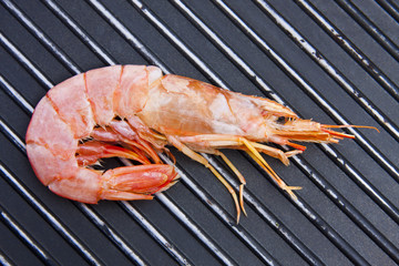 marisco fresco, langostinos