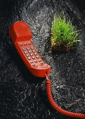 red phone and grass sode