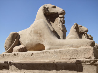 Sphinxes in sunny ambiance