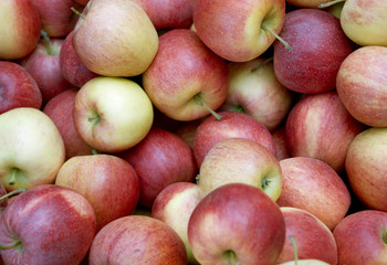 full frame apple background