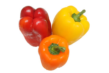 Three peppers isolated