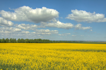 Raps und Wolken