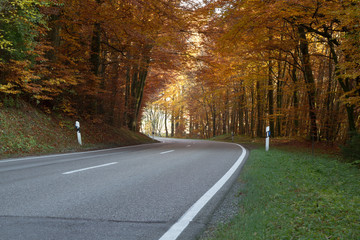 Herbstliche Landstraße in Bayern