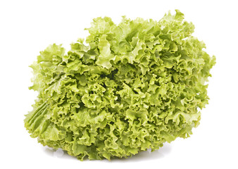 lettuce close up isolated in white background