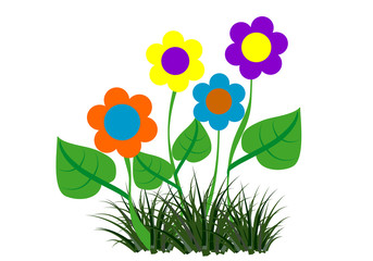 Fototapeta premium Flowers on the meadow