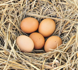 a pile of brown eggs in a nest