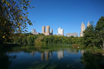 Lake in central park