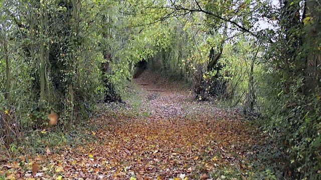 Automne