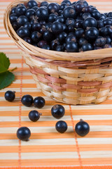Fresh berries in a wicker basket