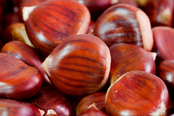 Chestnut