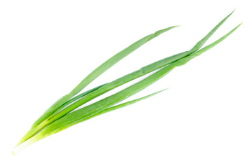 fresh green onions  isolated  on  white