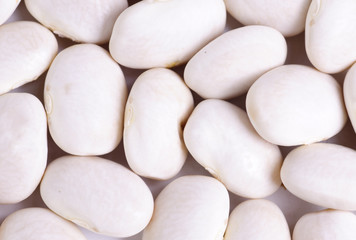 white beans close up background