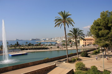 Fototapeta premium Palma