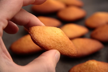 madeleinettes