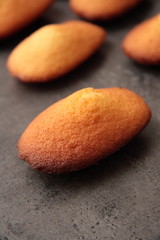 madeleinettes