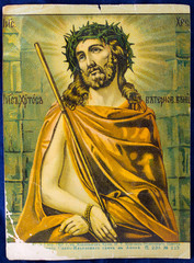 Fototapeta premium Icon