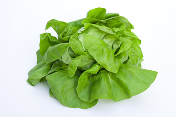 Lettuce - Salad
