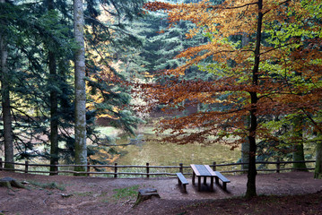 Parco Nazionale delle Foreste Casentinesi: laghetto Traversari