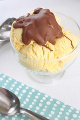 Vanilla icecream