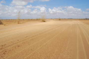 Fototapeta na wymiar Afrykańska pustynia