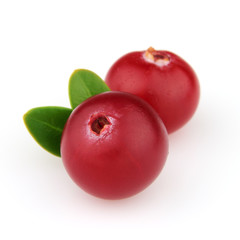 Fresh cranberry with leaves