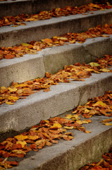 Staircase in Autumn