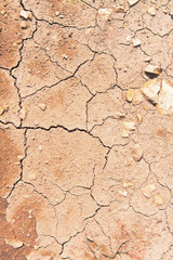 Cracks on dry ground