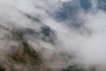 野迫川村の雲海