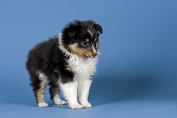 Vielversprechend 10420