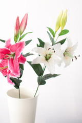 Lilien
