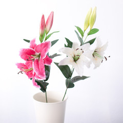 Lilien