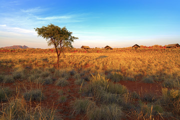 Wolweans Dune Camp in Namibia